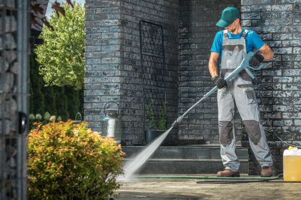 Boat and Dock Cleaning in Vienna, IL