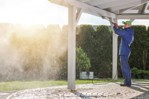 Best Parking Lot and Garage Cleaning  in Vienna, IL