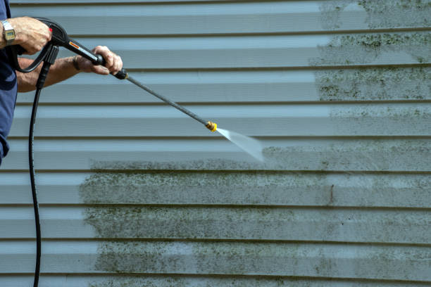 Solar Panel Cleaning in Vienna, IL