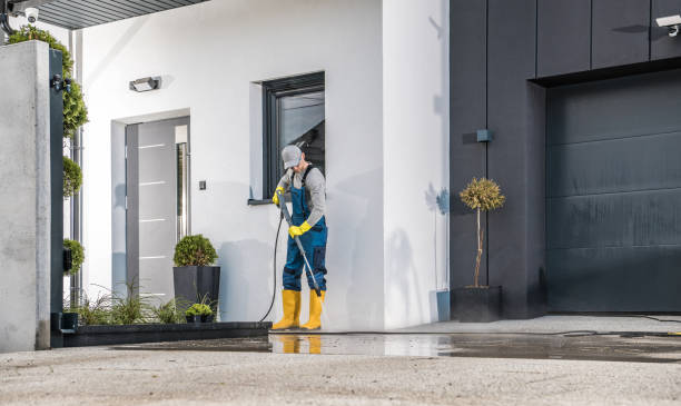 Best Factory Floor Cleaning  in Vienna, IL