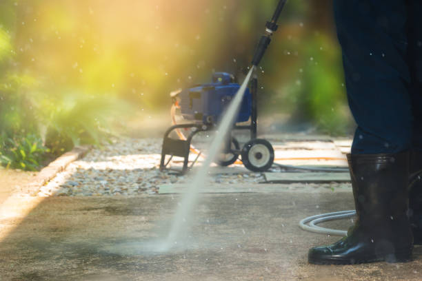 Best Animal Enclosure Cleaning  in Vienna, IL